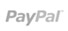 online platby PayPal