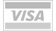 online platby Visa